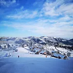 Apartmajsko Naselje Ribnisko Pohorje 公寓 *