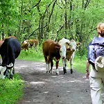 Apartmajsko Naselje Ribnisko Pohorje شقة Ribnica na Pohorju