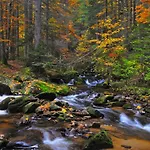 Apartmajsko Naselje Ribnisko Pohorje