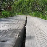 Apartmajsko Naselje Ribnisko Pohorje *