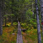 Apartmajsko Naselje Ribnisko Pohorje * Ribnica na Pohorju