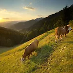 شقة Apartmajsko Naselje Ribnisko Pohorje Ribnica na Pohorju