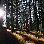 Apartmajsko Naselje Ribnisko Pohorje شقة