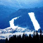 Apartmajsko Naselje Ribnisko Pohorje شقة Ribnica na Pohorju