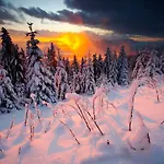 Apartmajsko Naselje Ribnisko Pohorje