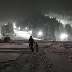 Apartmajsko Naselje Ribnisko Pohorje