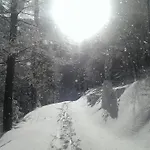 Apartmajsko Naselje Ribnisko Pohorje * Ribnica na Pohorju