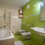 Apartmajsko Naselje Ribnisko Pohorje
