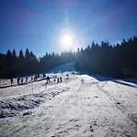 Apartmajsko Naselje Ribnisko Pohorje 公寓 *