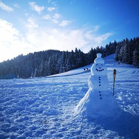 Apartmajsko Naselje Ribnisko Pohorje * Ribnica na Pohorju