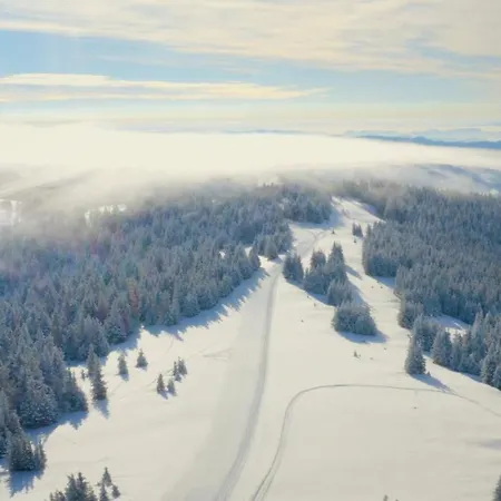 Apartmajsko Naselje Ribnisko Pohorje Ribnica na Pohorju