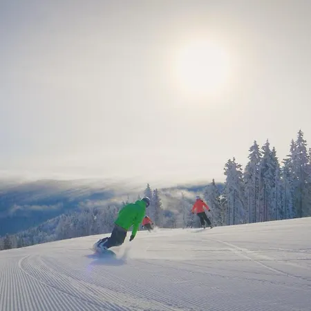 Appartement Apartmajsko Naselje Ribnisko Pohorje