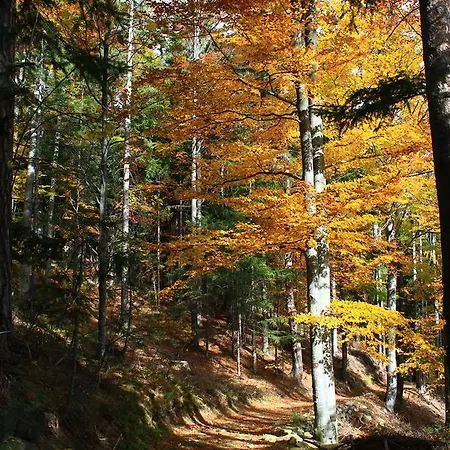 Appartement Apartmajsko Naselje Ribnisko Pohorje Ribnica na Pohorju