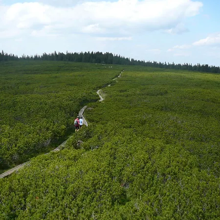 Apartmajsko Naselje Ribnisko Pohorje Apartmán