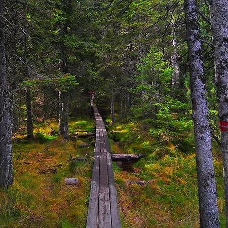 Apartmajsko Naselje Ribnisko Pohorje * Ribnica na Pohorju