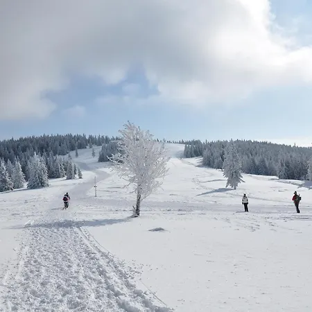 Apartmajsko Naselje Ribnisko Pohorje Apartmán *