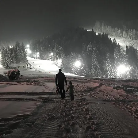 Apartmajsko Naselje Ribnisko Pohorje