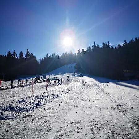 Apartmajsko Naselje Ribnisko Pohorje Apartmán *