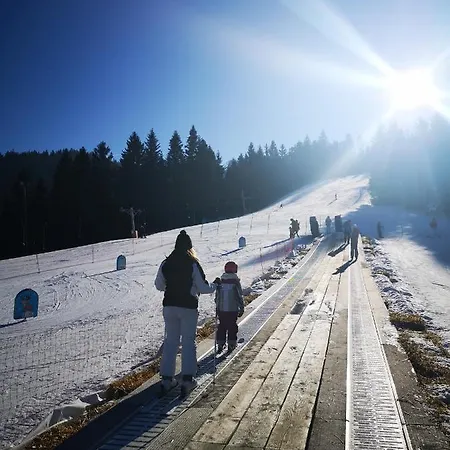 Apartmajsko Naselje Ribnisko Pohorje Apartmán *
