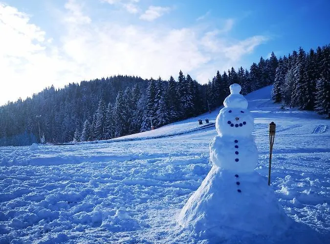 Apartmajsko Naselje Ribnisko Pohorje * Ribnica na Pohorju