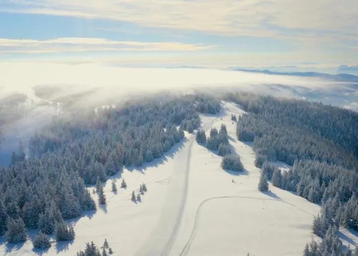 أبارتماجسكو ناسيلجي ريبنيشكو بوهورجي Ribnica na Pohorju