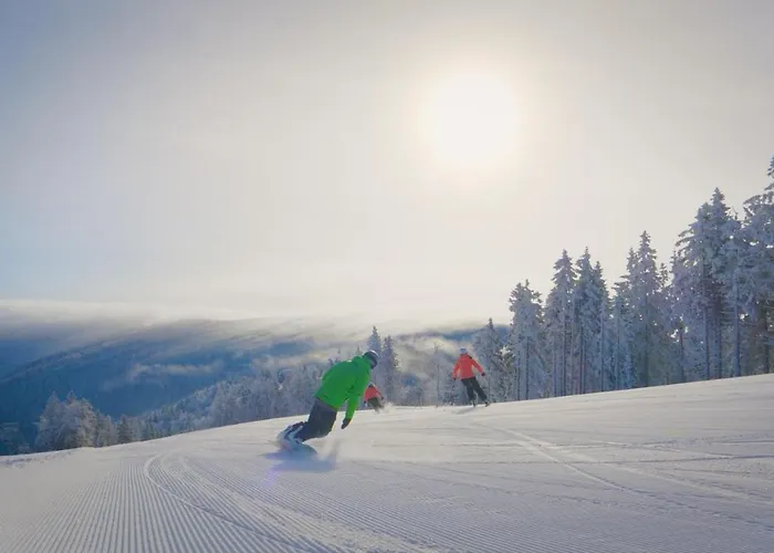 شقة أبارتماجسكو ناسيلجي ريبنيشكو بوهورجي