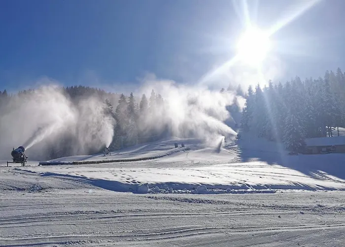 أبارتماجسكو ناسيلجي ريبنيشكو بوهورجي *