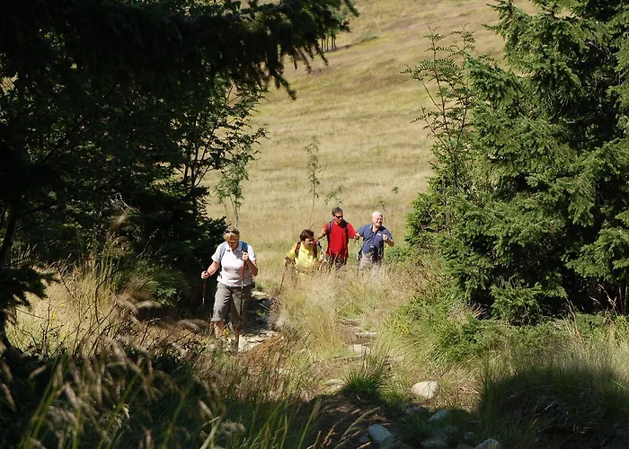 Apartmajsko Naselje Ribnisko Pohorje *