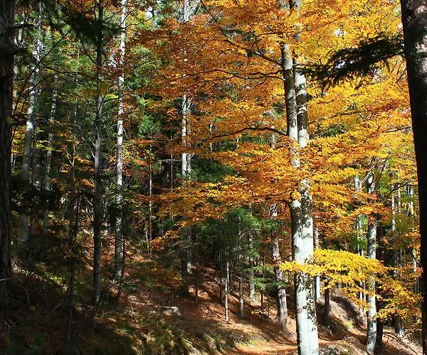 Apartment Apartmajsko Naselje Ribnisko Pohorje Ribnica na Pohorju