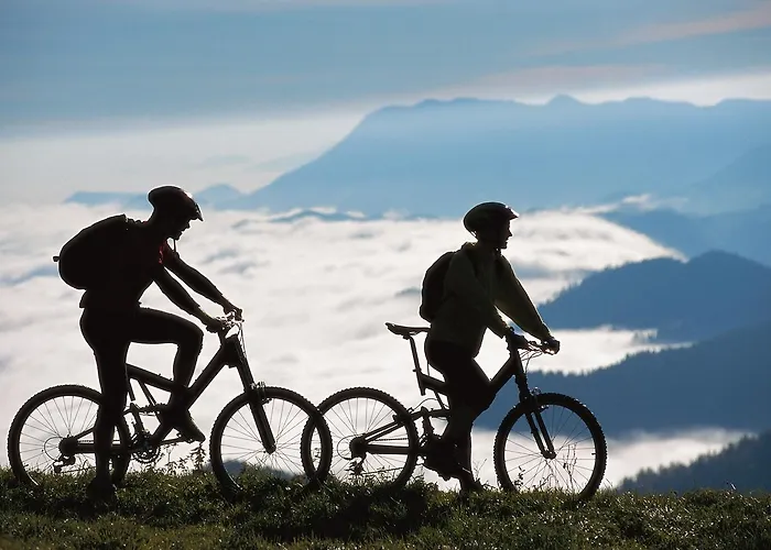 Apartmajsko Naselje Ribnisko Pohorje Apartment *