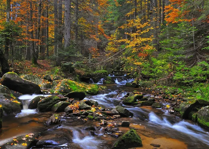 Apartmajsko Naselje Ribnisko Pohorje