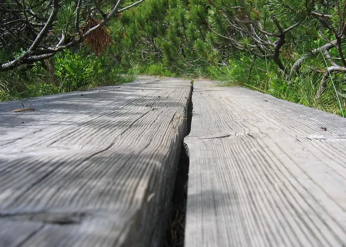 أبارتماجسكو ناسيلجي ريبنيشكو بوهورجي *