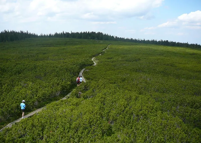 أبارتماجسكو ناسيلجي ريبنيشكو بوهورجي شقة