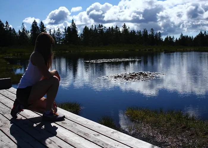 شقة أبارتماجسكو ناسيلجي ريبنيشكو بوهورجي *