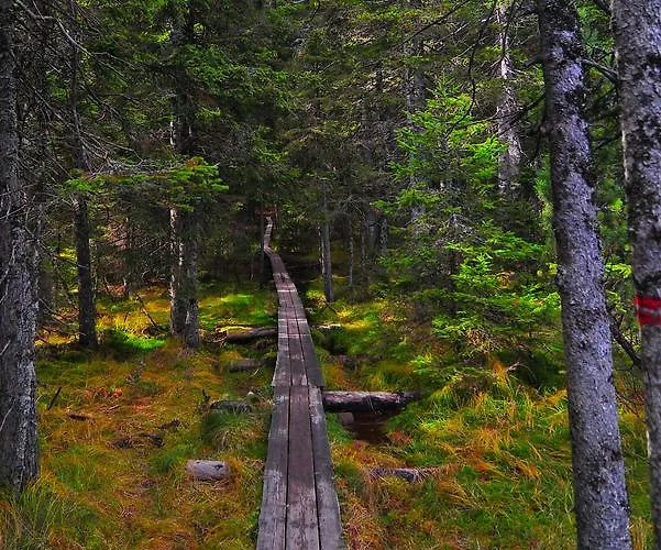 أبارتماجسكو ناسيلجي ريبنيشكو بوهورجي * Ribnica na Pohorju