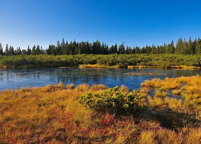 Διαμέρισμα Apartmajsko Naselje Ribnisko Pohorje