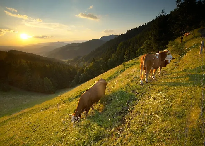 Apartment Apartmajsko Naselje Ribnisko Pohorje Ribnica na Pohorju