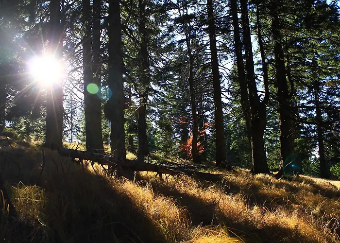 Apartmajsko Naselje Ribnisko Pohorje Διαμέρισμα