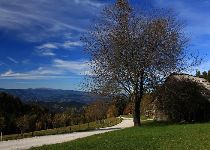 Apartmajsko Naselje Ribnisko Pohorje Διαμέρισμα *