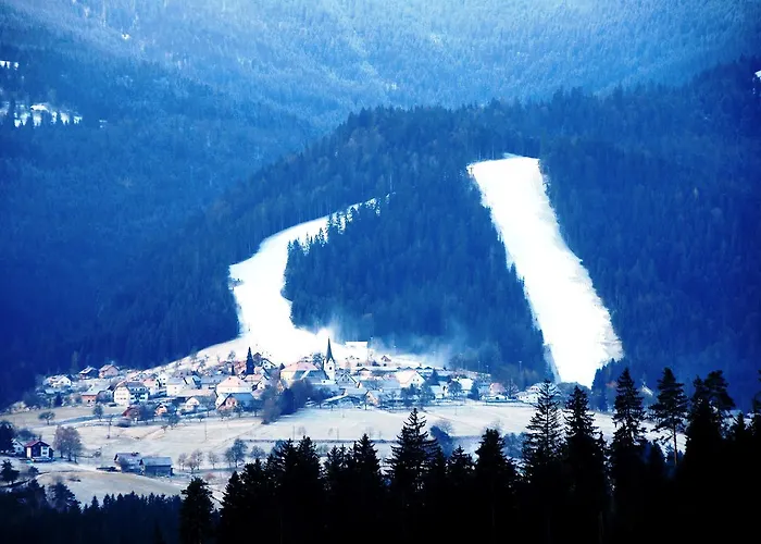 أبارتماجسكو ناسيلجي ريبنيشكو بوهورجي شقة Ribnica na Pohorju