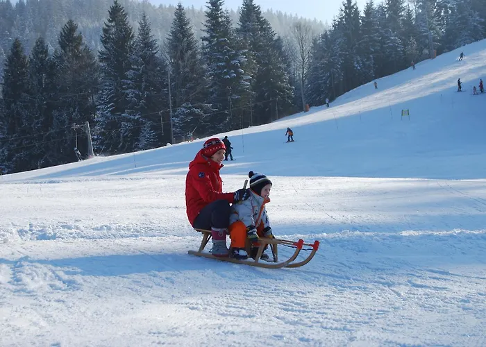 أبارتماجسكو ناسيلجي ريبنيشكو بوهورجي شقة