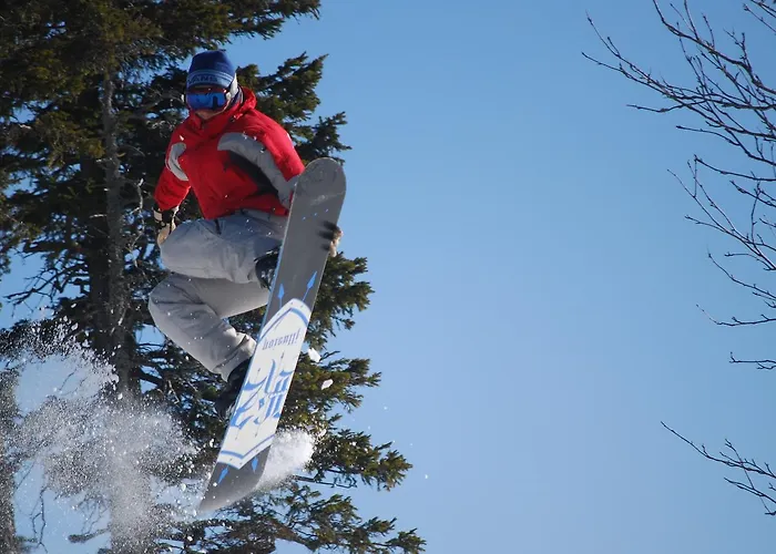 Apartment Apartmajsko Naselje Ribnisko Pohorje