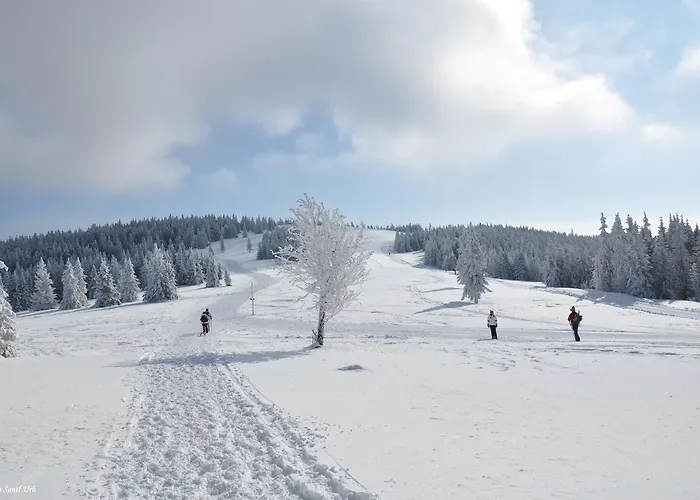 Apartmajsko Naselje Ribnisko Pohorje Διαμέρισμα *