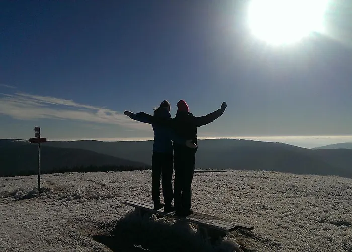 Apartmajsko Naselje Ribnisko Pohorje *