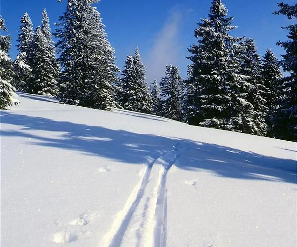 أبارتماجسكو ناسيلجي ريبنيشكو بوهورجي * Ribnica na Pohorju