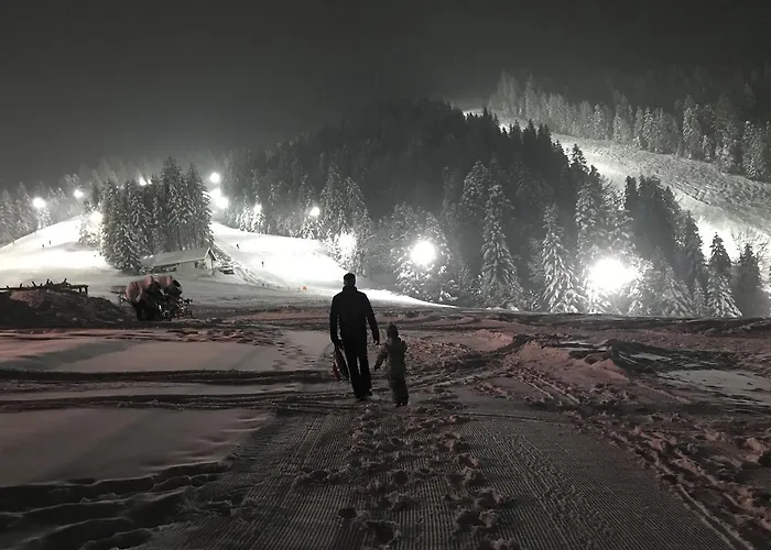 Apartmajsko Naselje Ribnisko Pohorje