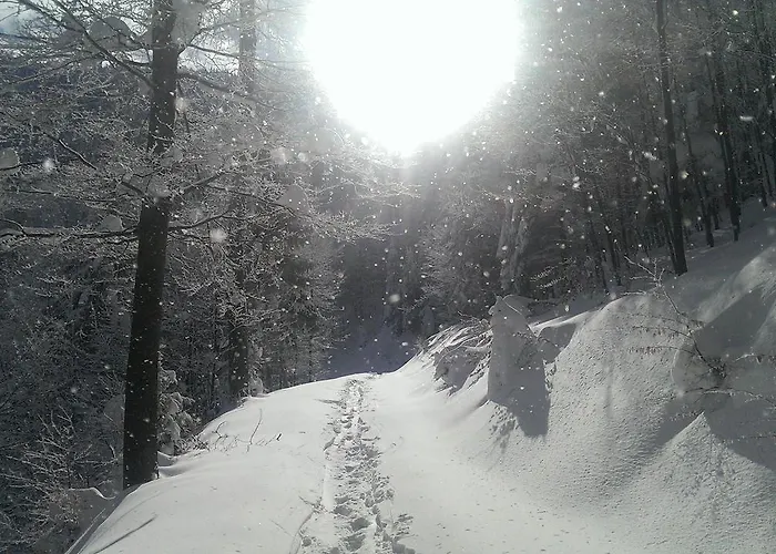 أبارتماجسكو ناسيلجي ريبنيشكو بوهورجي * Ribnica na Pohorju