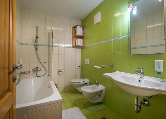 Apartmajsko Naselje Ribnisko Pohorje