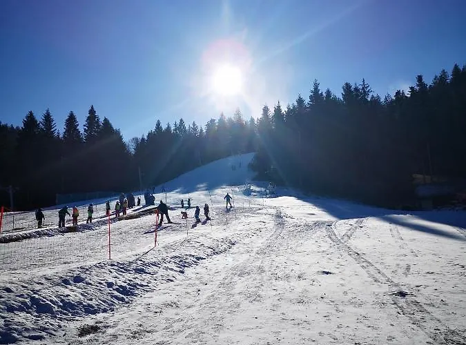 أبارتماجسكو ناسيلجي ريبنيشكو بوهورجي شقة *