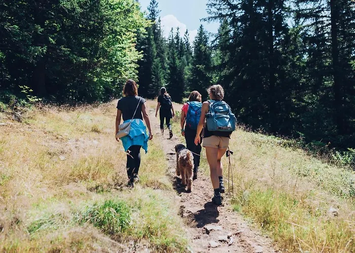 Apartmajsko Naselje Ribnisko Pohorje Ribnica na Pohorju